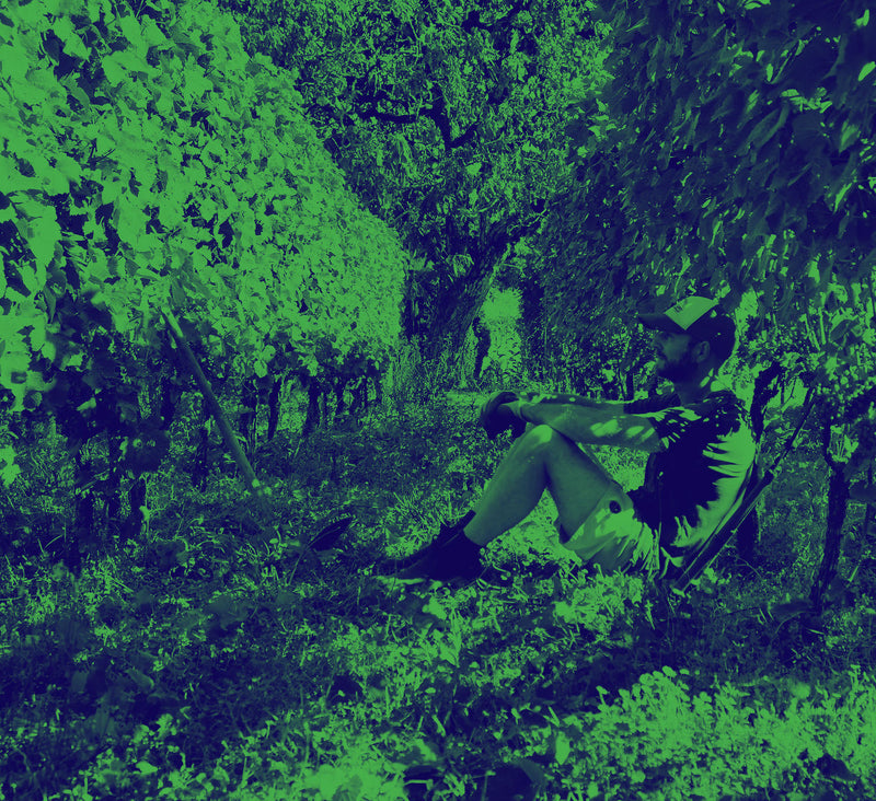 Mystery Red (OR) Human Cellars (2024)