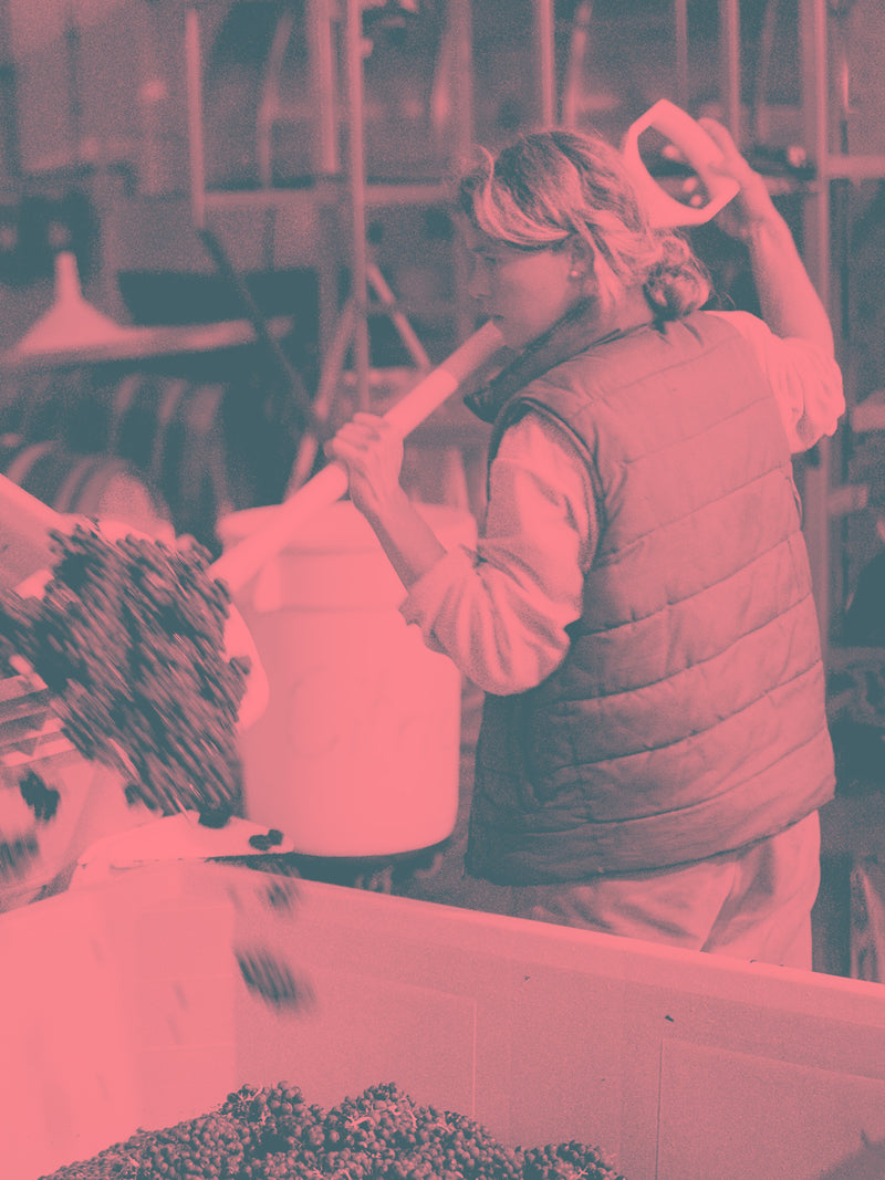 Coast Range Rosé (OR) With Dacha (2023)