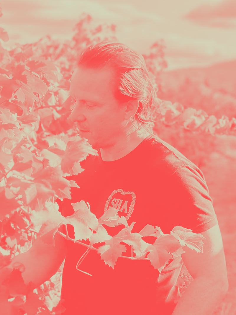 Chillable Red Wine (2022) With Cutter Cascadia (WA)