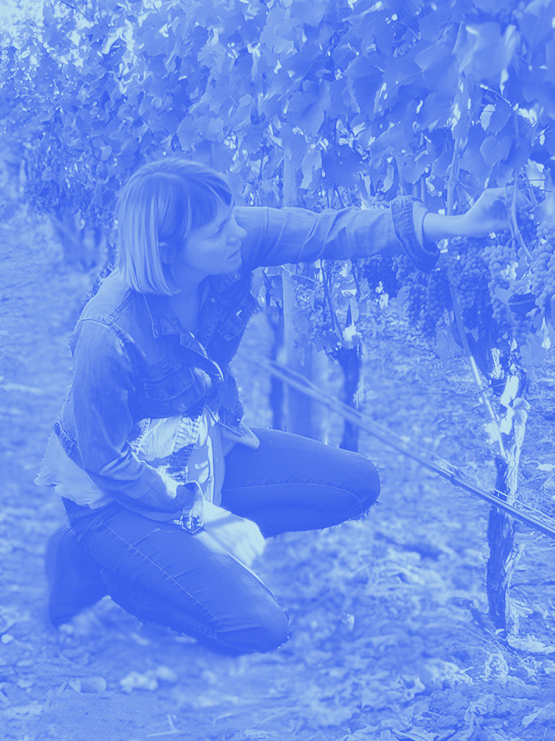 Smokey Red Wine (WA) With Loop De Loop (2020)