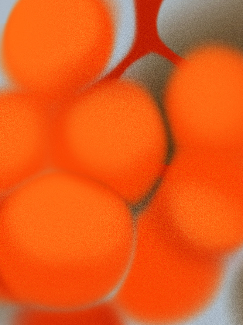 Orphan Wine (OR) WITH TROON (2023)