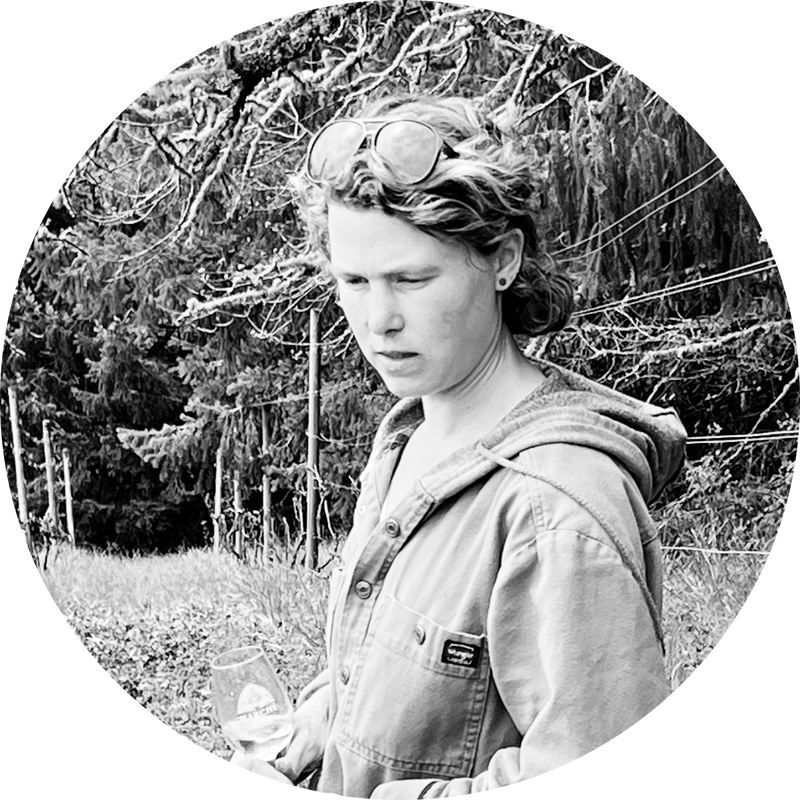 Post Familiar Natural Wine “This is a young vineyard planted on a historic but unforgiving property, that had a bit of a rough beginning. The landscape is beautiful, starting-to-feel-southern, and the vineyard is rugged and dry. On the third year of working with the site I harvested about 300 lbs of grapes off of the 2 pinot acres. I did prune extremely conservatively, but even so, that should give you some idea of how stressed out this vineyard is.” - Isabel Newlin