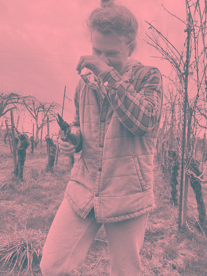 Coast Range Rosé