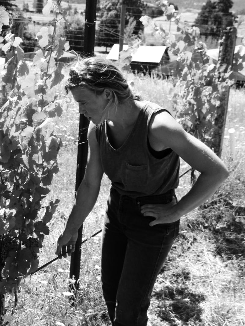 Wild Pinot Noir, image size:800x1067